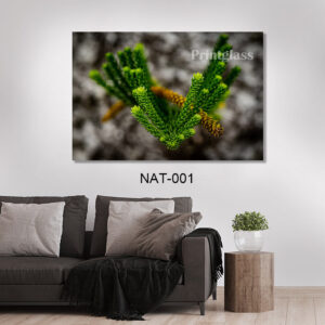 זכוכית עלה ירוק