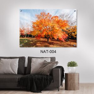 תמונת זכוכית