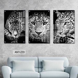 תמונת זכוכית