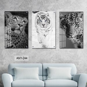 תמונות לסלון