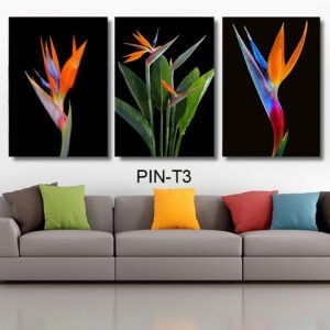 תמונות זכוכית למשרד של פרחים צבעונים