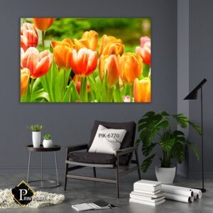 תמונה למשרד של שדה צבעוני של פרחים